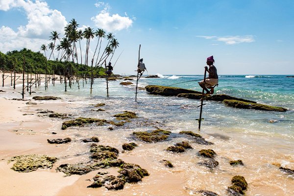 Southern Coastal Escape